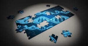 Immune system DNA puzzle