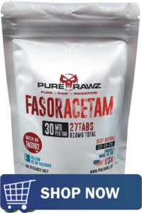 Fasoracetam - An Anxiety-Reducing Nootropic 7 Fasoracetam - An Anxiety-Reducing Nootropic 3