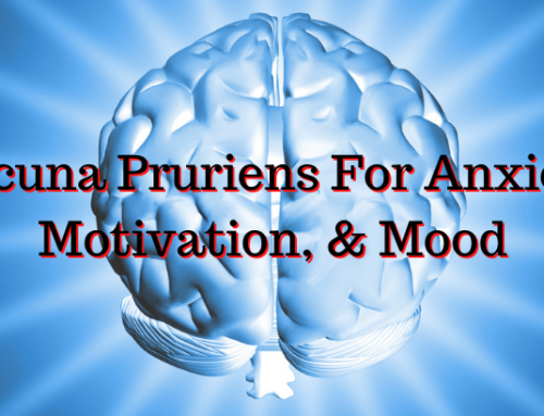 Mucuna Pruriens for Anxiety, Motivation, and Mood