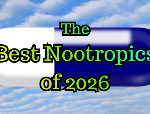 The Best Nootropics of 2026